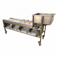 Machine de triage automatique, pour faire des lignes de fruits, couleur Olive, orange, raisin
