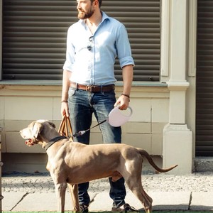 Marchio privato personalizzato 3m 5m regolabile all'ingrosso senza groviglio LED guinzaglio retrattile cane con luce a LED - Product Image 6