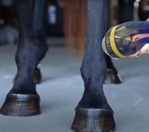 Máquina de Terapia de Ondas de Choque Electromagnéticas FWST Smartfocus para Uso de Caballos Veterinarios - Product Image 2