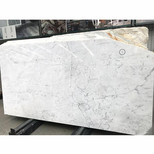 بلاط سيراميك روزاليا رخامي أبيض من Statuario ، لوح كبير ، غرفة معيشة بتشطيب عتيق/مصقل طبيعي - Product Image 4