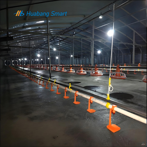 Abbeveratoio Automatico <span class=keywords><strong>a</strong></span> Nipple per Polli da Carne e Ovaiole, in Acciaio Inossidabile, Anti-<span class=keywords><strong>Goccia</strong></span>, Nuovo Sistema di Abbeveraggio per Pollame - Product Image 5