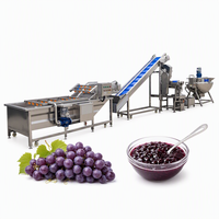 Automatische fruitjam productielijn, roestvrijstalen jammachine, industriële voedselverwerkingsapparatuur voor fabrieken