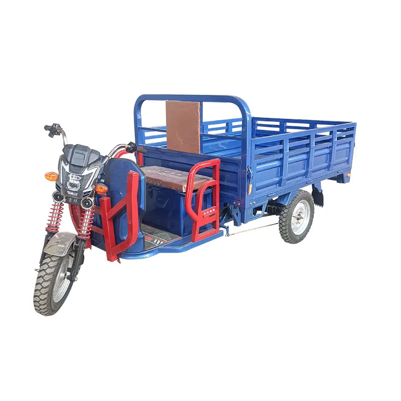 Agriculture Cargo 1200W Carrier Three Wheel Adult 750 Watt Discapa Electric Cargo Tricycles With Cabin