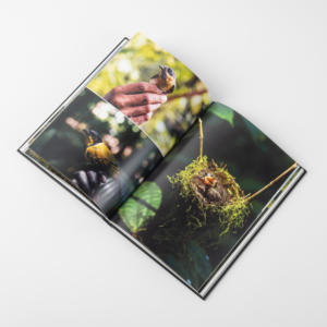 <span class=keywords><strong>Livre</strong></span> relié pleine couleur personnalisé Impression offset Services personnalisés pour les éditeurs - Product Image 1