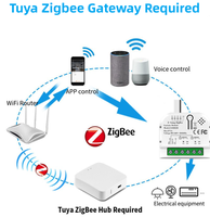 2 gangs Tuya Smart life Zigbee WiFi Module d'interrupteur de rideau pour volet roulant moteur Smart Home Google Alexa commande vocale