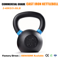 Kettlebell en fonte peinte TOPTONS sur mesure OEM ODM 2-48KG avec revêtement coloré pour l'haltérophilie et l'entraînement de force