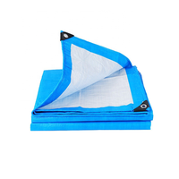 Bâche PE Ripstop Bleue et Blanche 4x5m Imperméable Anti-UV pour Tente, Couverture de Jardin, Camion, Stockage de Marchandises et Abri Temporaire