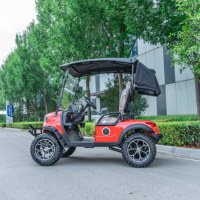 Voiturette de golf électrique 2 places économique, type Club Car Power Glide, ATV UTV, grande capacité, pour zone touristique