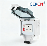 Prise murale électrique industrielle étanche IP66 de marque IGERCN, 1 gang, 240V/13A, en cuivre, pour extérieur, modèle IG86LP-S