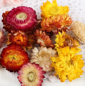 Thé de chrysanthème à sept couleurs de qualité supérieure, mélange floral artistique en vrac - Product Image 3