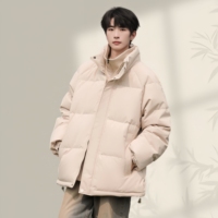 Nouvelle doudoune pour homme, décontractée, résistante au froid, chaude, tendance et polyvalente, col montant, effet deux pièces