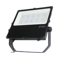 Reflector LED de Voltaje Amplio AC85-305V, 50W 100W 200W, IP66, para Obras de Construcción, Fachadas de Edificios, Vallas Publicitarias