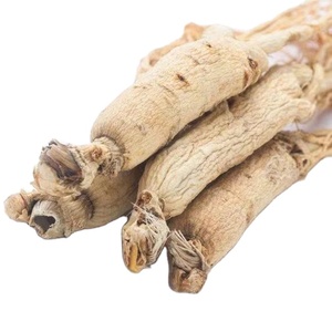 عينة مجانية كندا الجينسنغ في باكستان الجينسنغ الأبيض - Product Image 1