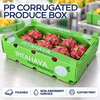 Vouwbare PP golfkartonnen fruit- en groentekisten op maat en met opdruk voor groothandel verpakking en distributie