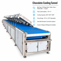 Nouveau mini tunnel de refroidissement à bande PU/maille pour l'exportation de chocolat au Bangladesh - Alimentation par prise, garantie 1 an, dimensions personnalisables, longue portée