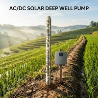 Pompe solaire immergée pour puits profond AC/DC 1500W, pompe immergée solaire hybride AC/DC pour puits profond avec pompe solaire MPPT