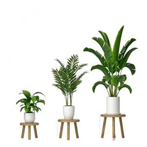 Juego de taburetes de madera para almacenamiento, mesa redonda para sala de estar, dormitorio, exhibición de plantas de interior, diseño minimalista y moderno - Product Image 5