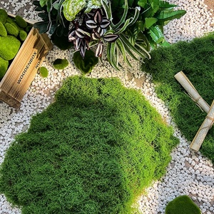 LUYI - Musgo Verde <span class=keywords><strong>Artificial</strong></span> en Maceta, Musgo Sphagnum, Turba de Musgo, Decoración de Pared para Oficina, Venta al por Mayor - Product Image 3