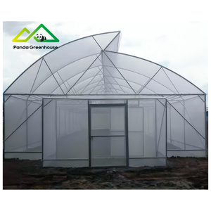 Polyfolie tunnelkas is zeer geschikt voor het kweken van diverse groenten, fruit en bloemen. - Product Image 3