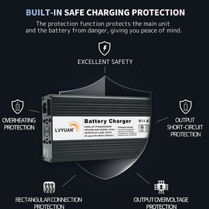 Lvyuan Fast Charge Li-ion <strong>LiPo</strong> <strong>12V</strong> 24V Lifepo4 Lithium <strong>Battery</strong> Charger Current Adjust 1A to 25A - Product Image 6