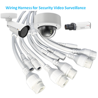 Cable IPC de 10 pines Flexible con aislamiento de PVC de alta calidad, diseño Simple, arnés de cableado de 350mm para cámara de seguridad CCTV