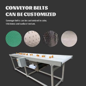 Pp Sheet Miniature Curved Stainless Steel Wire <strong>Mesh</strong> Hot Steem Station For Agriculture Conveyor Belt - Product Image 4