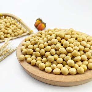 Graines de soja cru de haute qualité en sacs, graines de soja en vrac biologique à vendre - Product Image 5