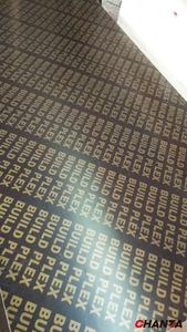 Contrachapado Moderno Antideslizante de 18 mm con Revestimiento de Película, Estándar F17, para Uso en Exteriores - Product Image 5