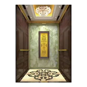 CE Approval New Designed Home Elevator/Hydraulic Lift