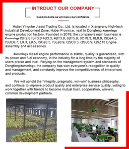 Nuovo Dongfeng Kummings (ddec) 6bt12 in Vendita - Product Image 4