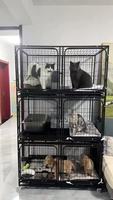 Grande cage à chat à 3 niveaux pour l'intérieur, enclos pour chat à monter soi-même, fil métallique détachable, cage à chat d'intérieur, espace d'exercice idéal pour les petits animaux