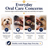 Friandises à mâcher souples pour chiens de petite taille, soin dentaire, avec Ascophyllum Nodosum, 90 unités, formule anti-plaque et haleine fraîche pour tous les chiens