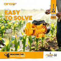 Pompe à eau propre DINGQI 1HP 750W |   Pompe à vortex haute pression avec une hauteur de refoulement de 45 m et un débit de 45 L/min pour l'irrigation des jardins domestiques