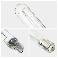 Ampoule au sodium haute pression E40 400W T46 48000lm 2000K Verre transparent 18000 heures Remplacement pour éclairage public