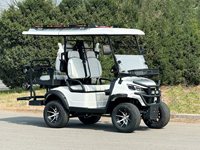 Voiturette de golf électrique 4 roues, batterie au plomb-acide, certifiée CE, 48V 5kW, sièges de luxe pour 4 personnes, roues de 14 pouces