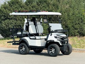 Carrito de Golf Eléctrico de 4 <span class=keywords><strong>Ruedas</strong></span> con Batería de Plomo-Ácido, Certificado CE, 48V 5kW, Asientos de Lujo <span class=keywords><strong>para</strong></span> 4 Personas, <span class=keywords><strong>Ruedas</strong></span> de 14 Pulgadas - Product Image 3