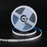 Bande lumineuse LED adressable 12mm SMD 5050 RGBCCT-IC DC12/24V IP20 WS2811 à effet cascade pour éclairage paysager