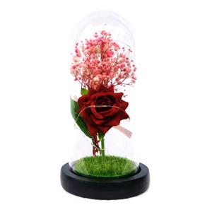 Flor de Rosa artificial TC con luz LED en cúpula transparente para regalos del Día de la madre de San Valentín, regalo de flor seca de Rosa Babysbreath - Product Image 6