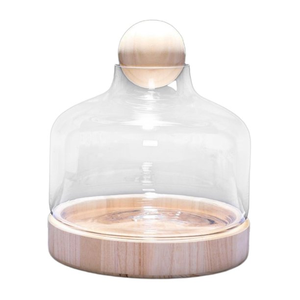 OEM Clear Borosilicate Glass Cloche Dome Terrarium Containers on Wood Base and Ball Lid