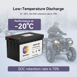 Batería Lifepo4 de 64V 40Ah 80Ah para ATV UTV, Resistente a Impactos y Agua IP65, Batería para Vehículos Todoterreno -20 ° Descarga a Baja Temperatura C - Product Image 4