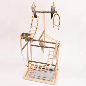 Büyük zanthoksilum ahşap papağan oyuncak dekompresyon salıncak halka tırmanma merdiven Drowty standı süspansiyon köprü malzemeleri kuşlar - Product Image 2