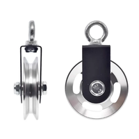 Rueda de polea plana para maquinaria de gimnasio, OEM, de aluminio sólido o hueco, paso de 100 mm
