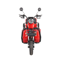 Tricycle Électrique à 3 Roues pour Adultes, Moto Électrique à Batterie Plomb-Acide, Idéal pour la Famille - Offre Spéciale