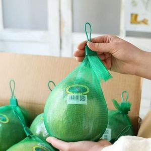 Màu xanh lá cây PP nhỏ Nhựa Lưới Trái Cây <span class=keywords><strong>Net</strong></span> Bag đối với bưởi - Product Image 2