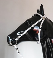 Haltères durables en PVC pour chevaux avec embout amovible en acier inoxydable, plusieurs couleurs