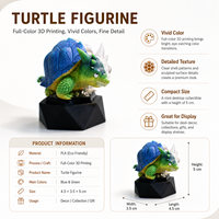 Figura de Tortuga Impresa en 3D a Todo Color con Caja de Exhibición y Base de Hierba, Estatua de Animal Realista, Adorno de Escritorio al por Mayor para Regalo