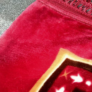 Alfombra plegable en relieve para casa, estera de oración suave, Raschel, visón musulmán, venta al por mayor - Product Image 5