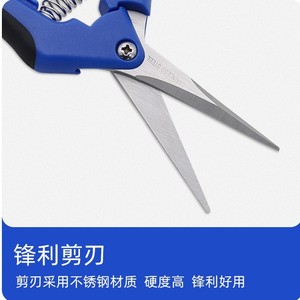 Wholesale <b>Pruning</b> Shears Stainless Steel 30-50 Mm Anvil Pruner For Fruit <b>Trees</b> Gardening <b>Tools</b> - Product Image 2