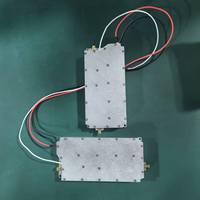 Module amplificateur de puissance RF GaN RuiHua SC/3 à bande ultra-large, anti-drone, anti-LORA, numérique FPV, large bande