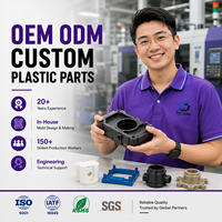Piezas de Moldeo por Inyección de Plástico Personalizadas, Productos Plásticos Ecológicos para el Hogar, Servicio OEM/ODM, Moldeo por Inyección de Plástico Personalizado
